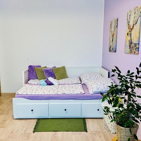 Garsonka Ve Dvore Dvur Kralove nad Labem Exterior photo