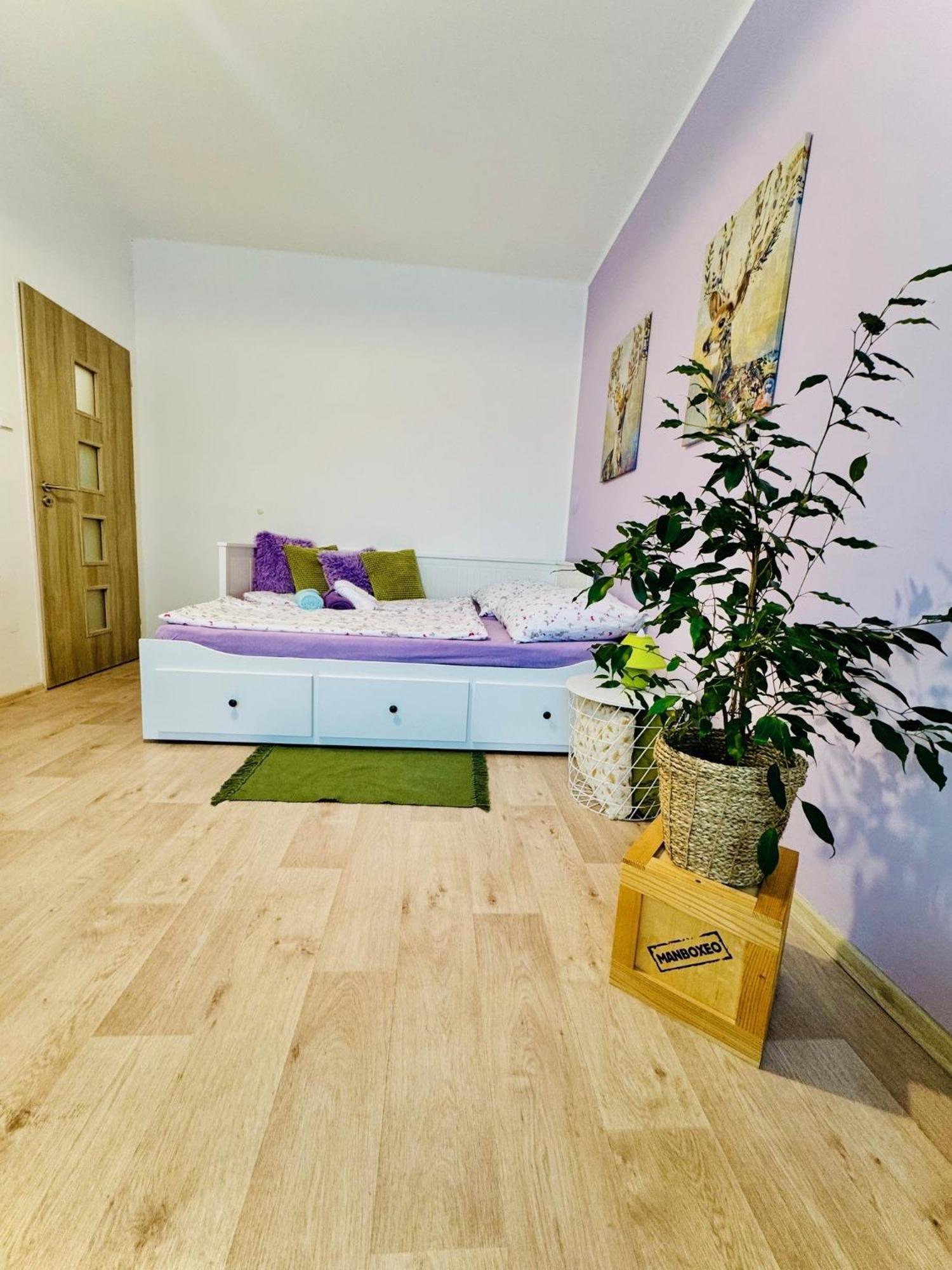 Garsonka Ve Dvore Dvur Kralove nad Labem Exterior photo
